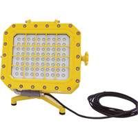 Explosion Proof Floodlight with Floor Stand, LED, 40 W, 5600 Lumens, Aluminum Housing XJ043 | Meunier Outillage Industriel