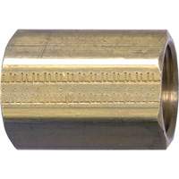 Pipe Coupling, Brass, 1/8" Meunier Outillage Industriel